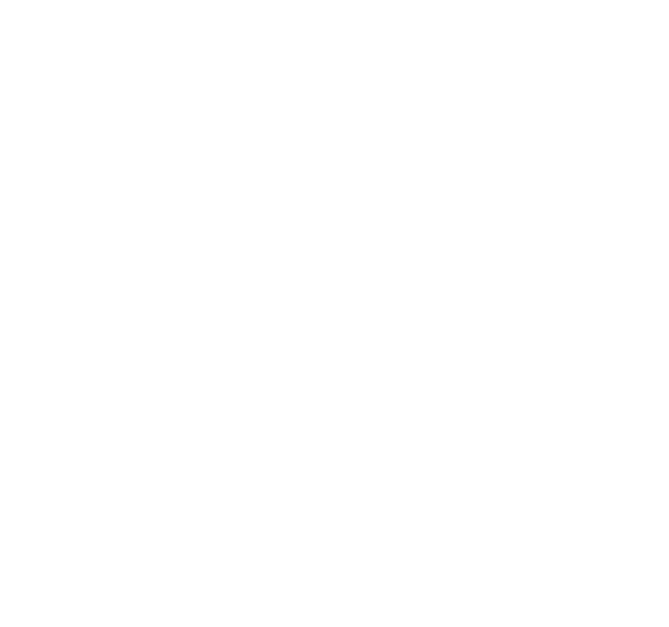 IRORI